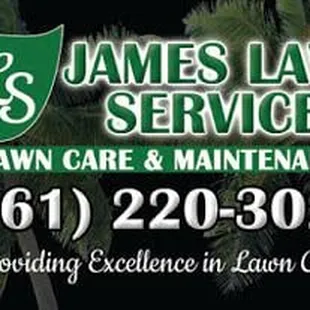 palm trees in the background