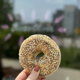 a hand holding a sesame bagel