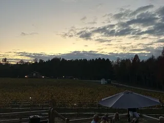 Everleigh Vineyards & Brewing Company