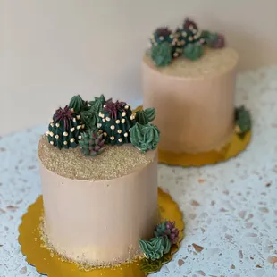 two cakes decorated with succulents