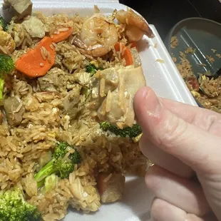 chicken maybe ? why is it grey ?