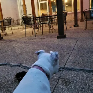 Patio