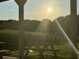 Shop Springs Creamery