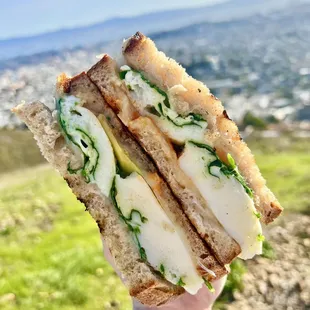 bland egg white panini