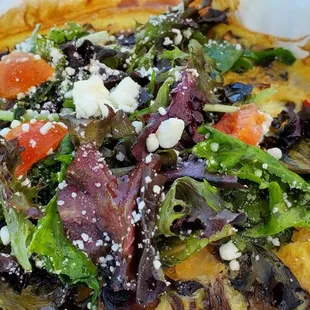 Wild Mushroom Fruit Tata $16