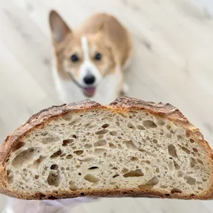 Three Cheese Rosemary