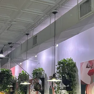 Some of the beautiful plants that are all real.