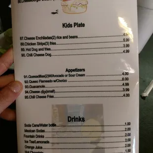 a hand holding a menu