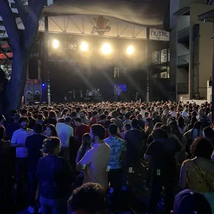 a large crowd of people at a concert