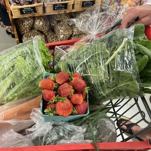 Spring homegrown produce