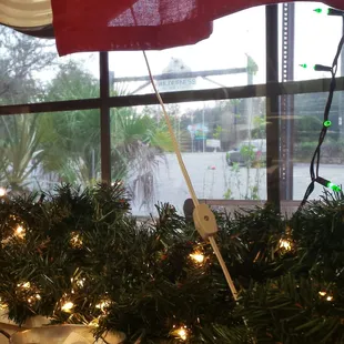 a window with christmas lights