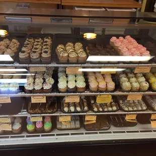 Lots of cupcakes