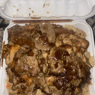 Chicken and beef teriyaki