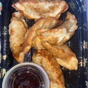 Fried Dumplings- chicken