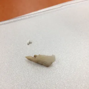 a piece of tooth on a laptop