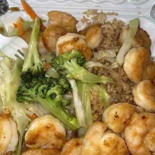 Shrimp Teriyaki w/fried rice