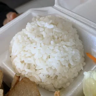 Great Vegetarian Dishes!