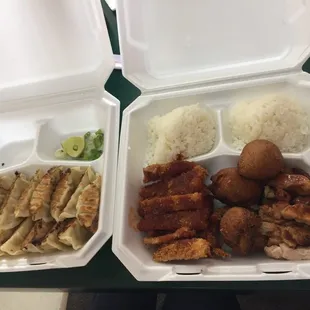 Pan fried gyoza and obento