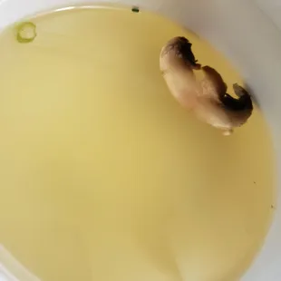 a bowl of soup with a mushroom in it
