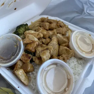 Chicken Teriyaki