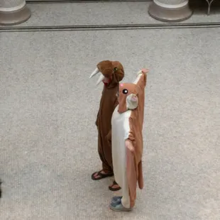 Newly purchased costumes