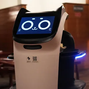 Introducing &quot;BELLA&quot; the &quot;ROBOT SERVER&quot; who serves up the Dessert on conclusion of a meal and can also sing &quot;HAPPY BIRTHDAY&quot;!