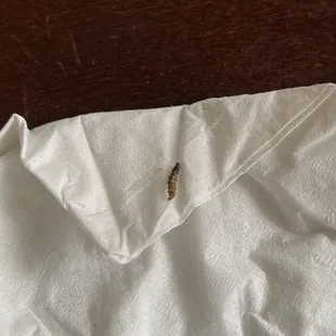 Worm found in food.