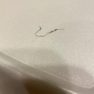 Here's the piece of metal he almost ate.