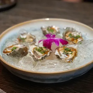 Oysters