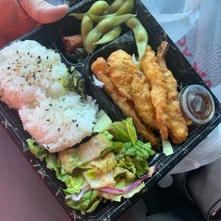 It's a frozen bento ladies and gents! And it only cost me 12 bucks!