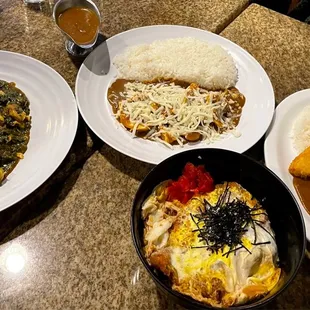 L to R- Boiled Chicken &amp; Spinach curry,  Beef &amp; Cheese curry, Tofu Curry, Chicken Oyakodon bowl.