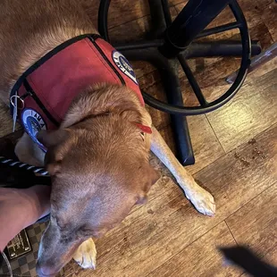 High table in hallway of Japango where she almost got stepped on by same lady (possibly drunk), informed her of Hazel's presence.