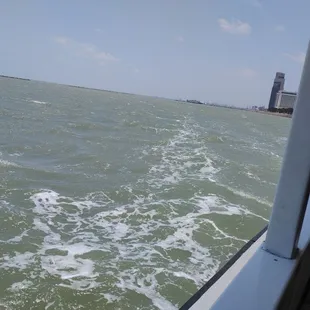 Water waves