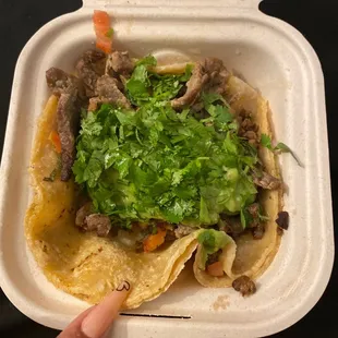 Regular carne asada taco