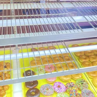 donuts, interior