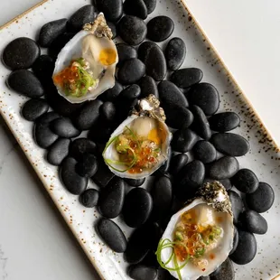 a plate of oysters on a bed of black stones