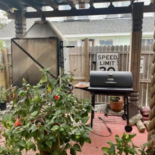 Can watch them cook.