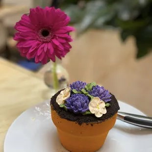 Flower pot cake