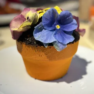 Flower pot cake