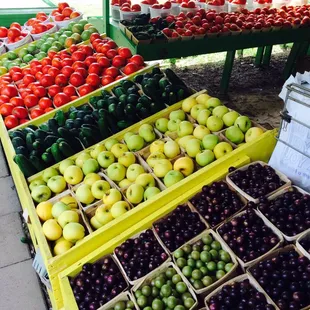 a variety of fruits and vegetables
