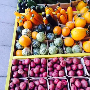 a variety of fruits and vegetables