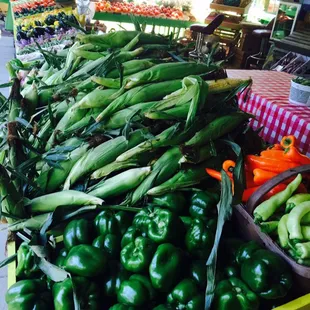 a variety of vegetables on display