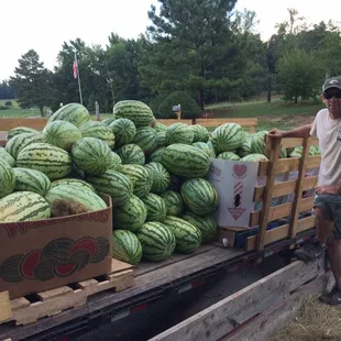 a man standing next to a truck full of watermelons