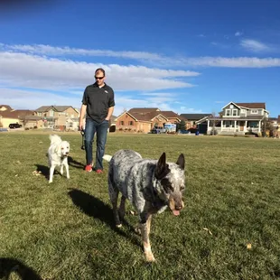 Beautiful day at the dog park!