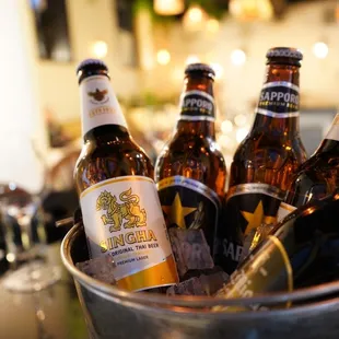 bottles of beer in a bucket