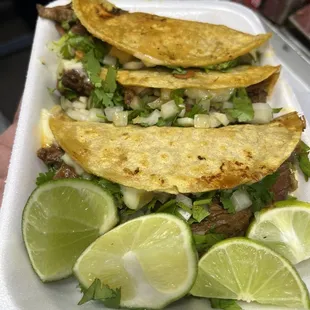 Quesobirria tacos