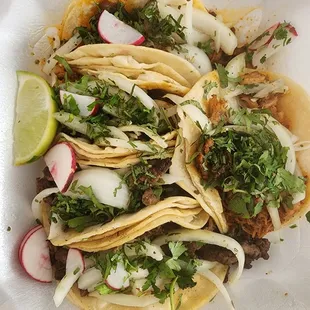 Pastor, Fajita, and Cochinita Tacos