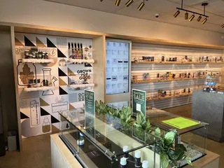 Giving Tree Dispensary