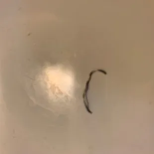 This was inside the orange chicken, I thought it was a bone but when I pulled it out my mouth it was a staple!!!!