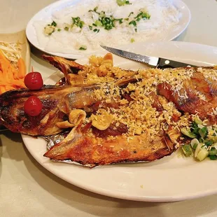 a plate of fish with rice and vegetables